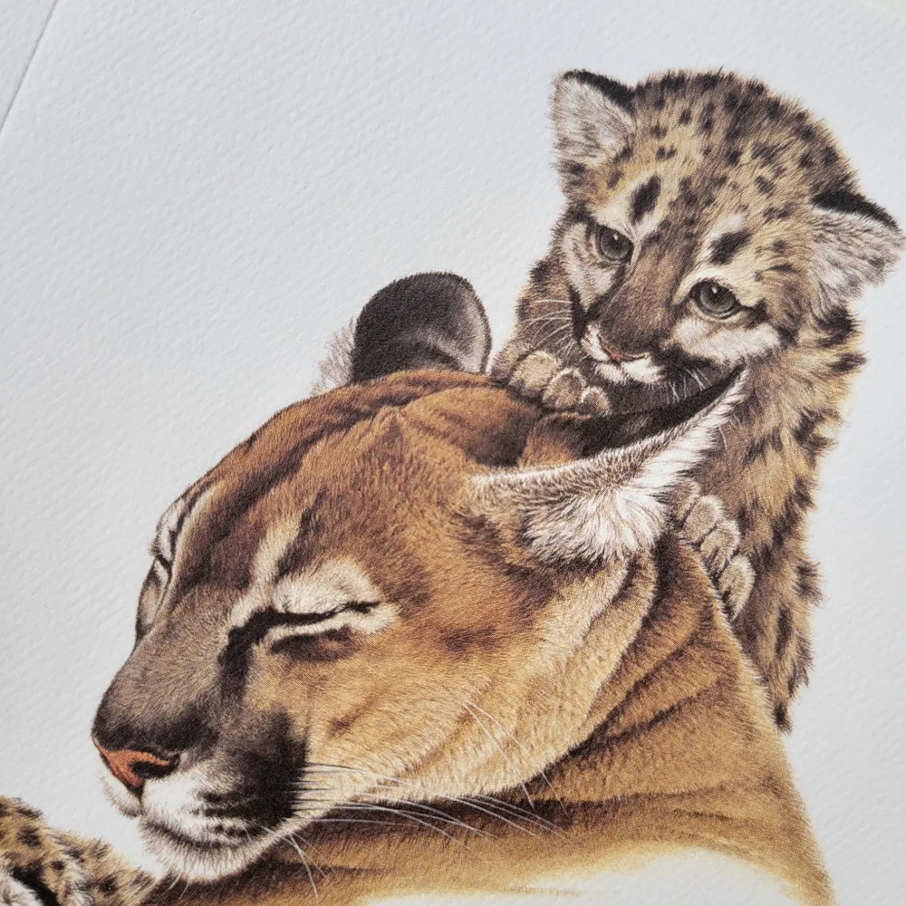 World Wildlife wildlife greeting